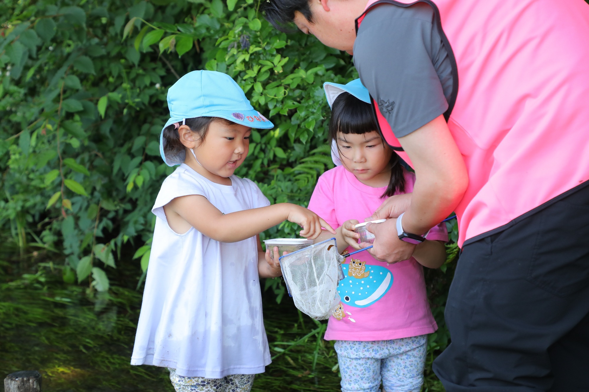 2023年11月16日 交通安全指導(幼児組)