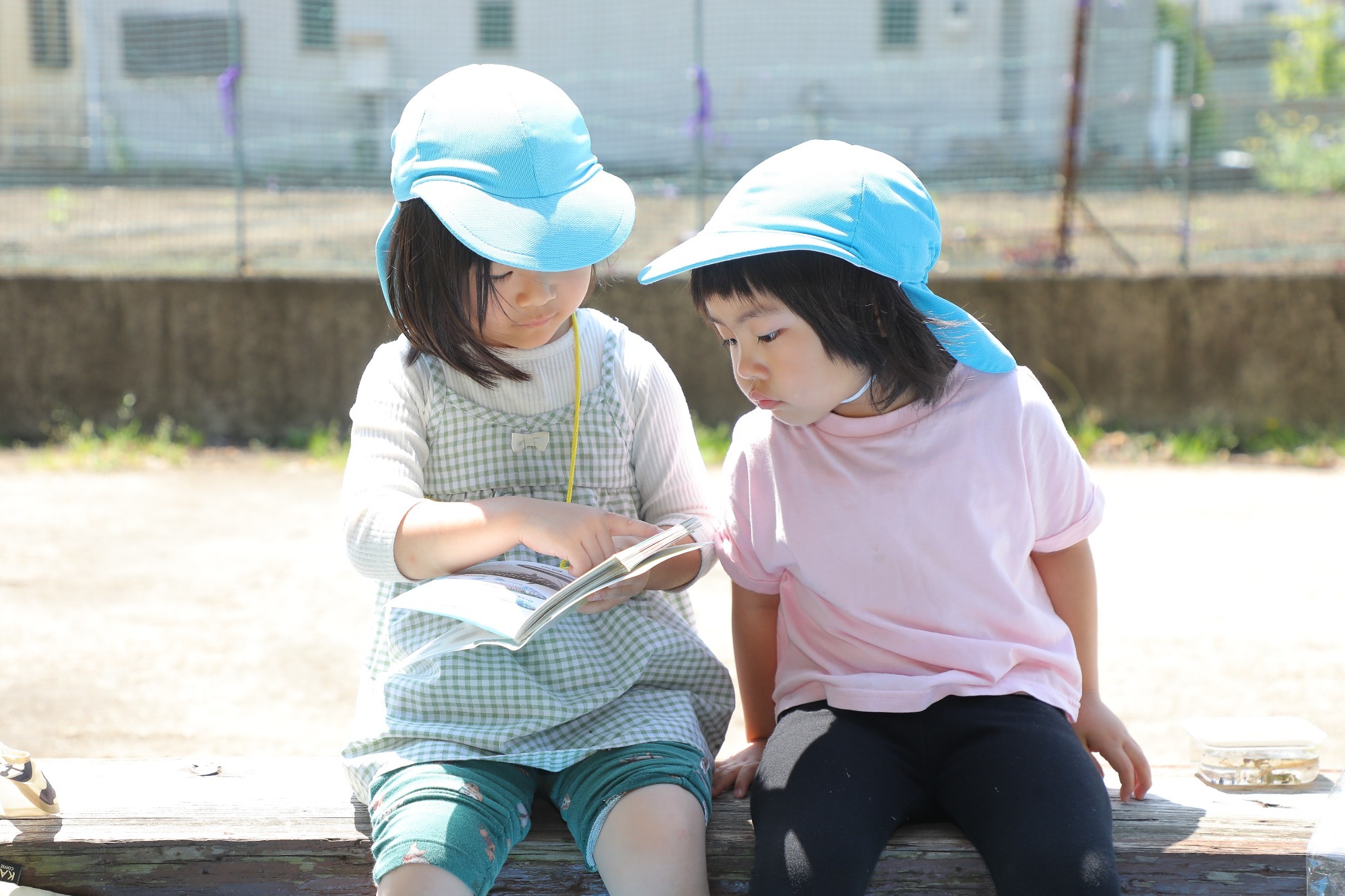 2023年11月16日 交通安全指導(幼児組)